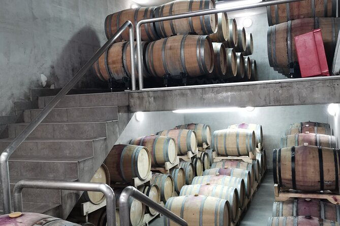 wine-tasting-experience-at-the-organic-winery-in-sisan