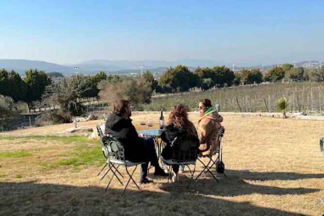 wine-tasting-tour-at-two-wineries-in-urla-turkey