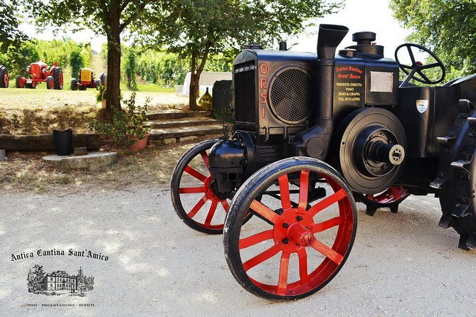 wine-tour-and-tasting-at-le-marches-oldest-wine-estate