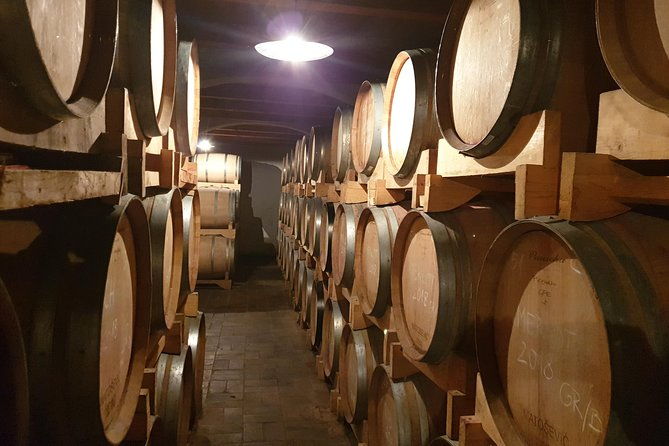 wine-tour-the-best-of-istria