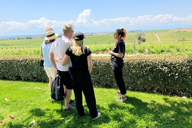 wine-touring-a-step-away-from-the-city