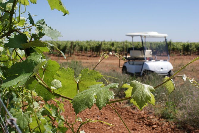 wine-tourism-wine-tasting