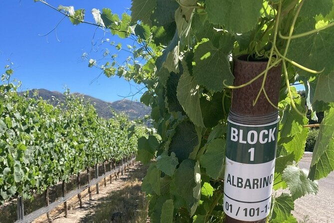 wine-tours-of-the-santa-ynez-valley