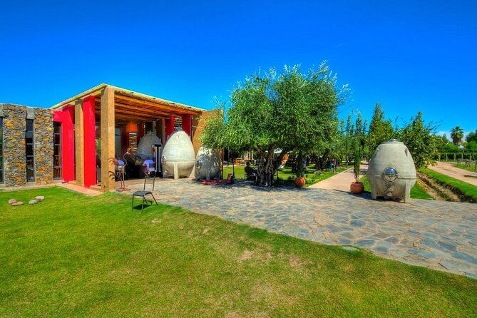 winery-the-enemy-zapata-angelic-lunch-private-transportation