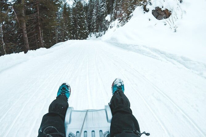 winter-alpine-adventure