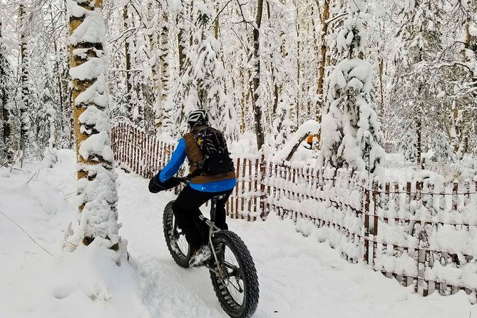 winter-fat-biking-anchorage-tour
