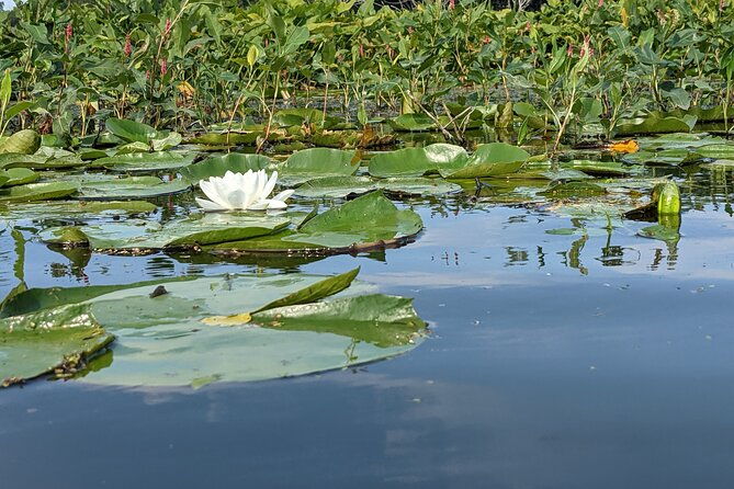 wood-wetlands-river-trip