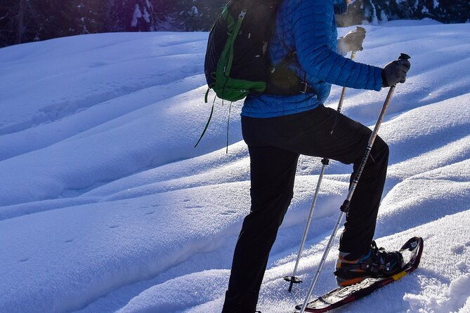 yellowstone-full-day-winter-tour-with-optional-hike-or-snowshoe-2
