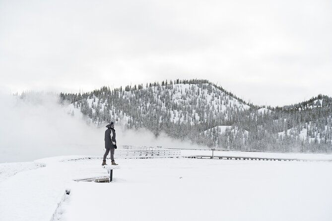 yellowstone-grand-teton-national-parks-private-winter-tour-5-day
