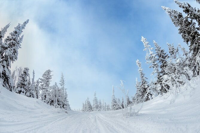 yellowstone-grand-teton-national-parks-winter-tour-small-group-4-day-tour