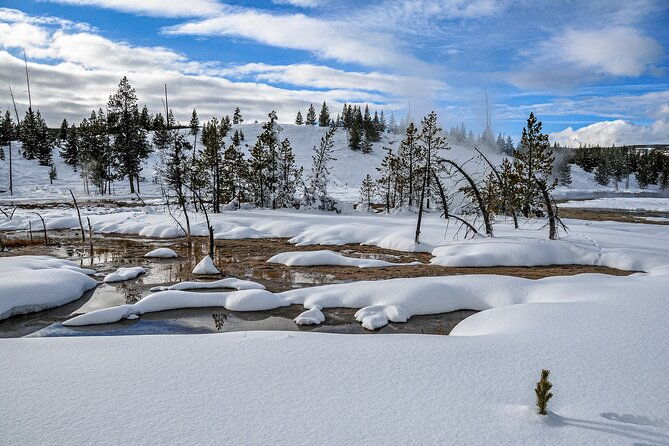 yellowstone-grand-teton-utah-mighty-5-winter-tour-small-group-9-day-tour