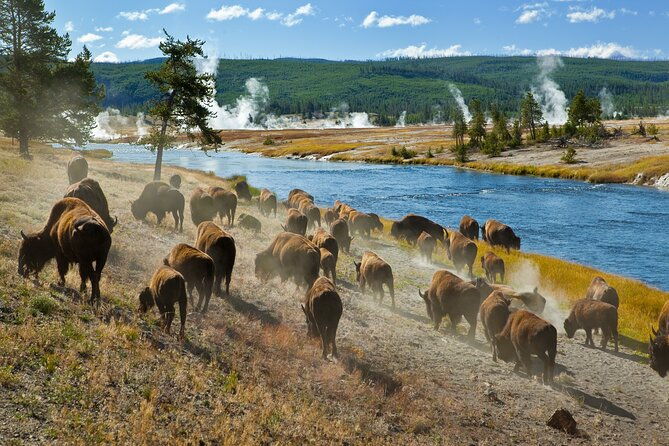 yellowstone-national-park-self-guided-driving-audio-tour