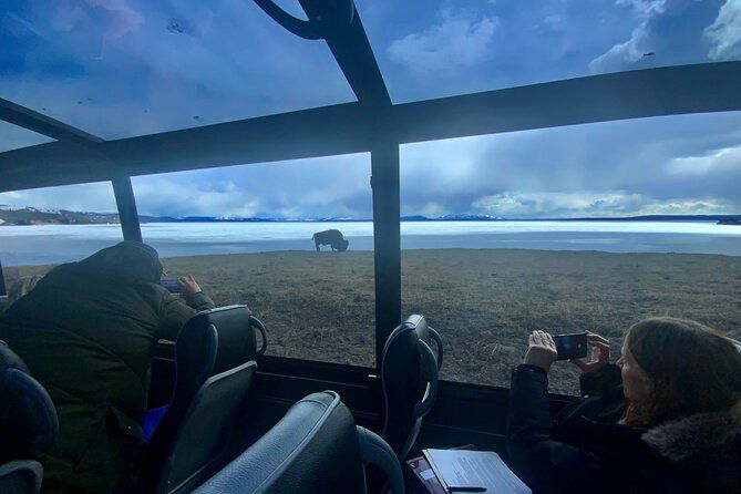 yellowstoneopen-air-glass-top-convertible-van-west-yellowstone