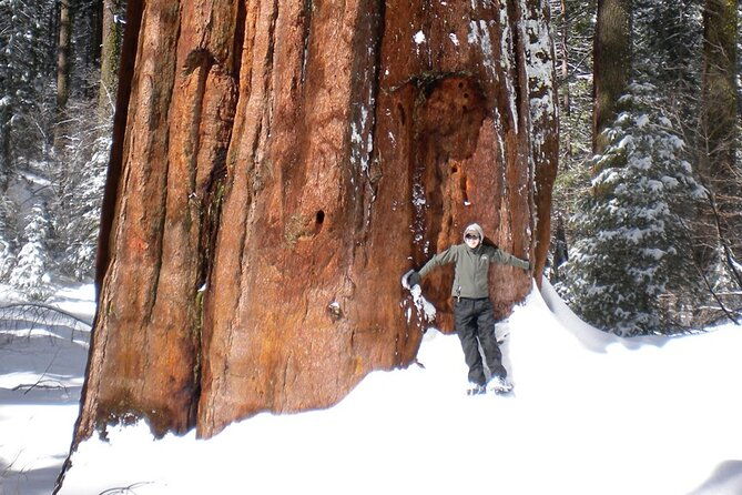 yosemite-valley-discovery-walk
