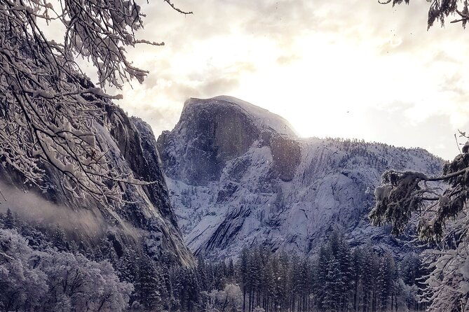 yosemite-winter-highlights-small-group-tour-2