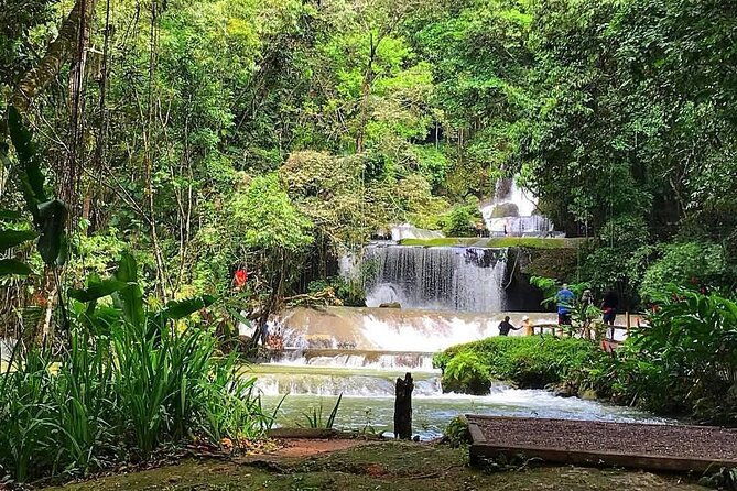 ys-falls-private-tour-2