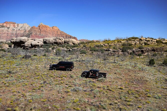 zion-jeep-tour-with-exclusive-access-to-zion-cliffside-point