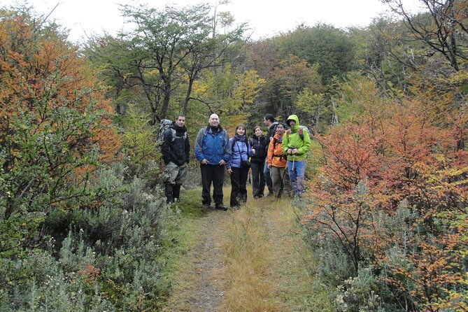 5-5-hour-nat-park-w-hiking-shore-excursion-ushuaia-shared-tour-for-cruises