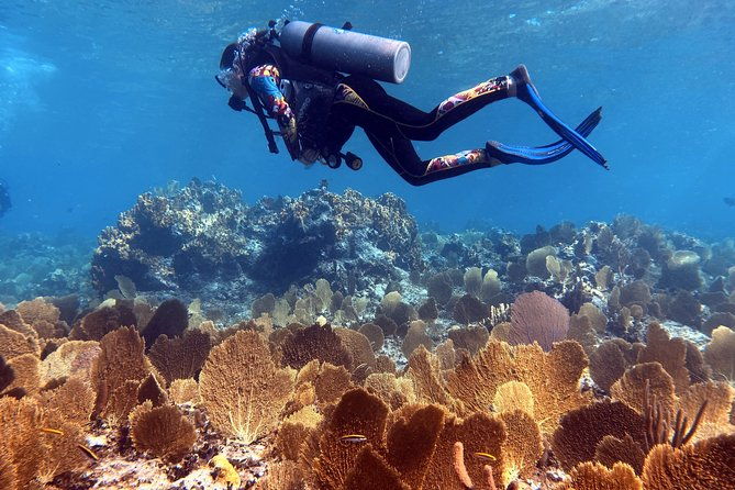 5-day-4-nights-catamaran-adventure-in-the-exumas