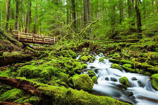 5-day-olympic-backpacking-hoh-rainforest-and-the-blue-glacier