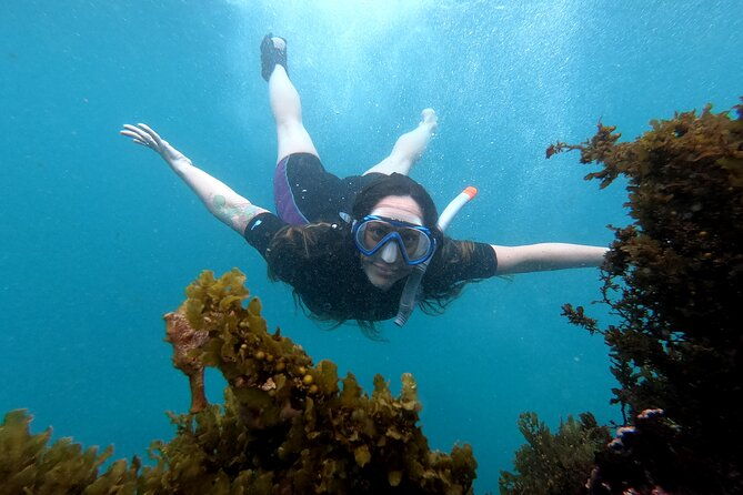 5-days-excursion-to-galapagos-islands-with-snorkel-and-volcanoes
