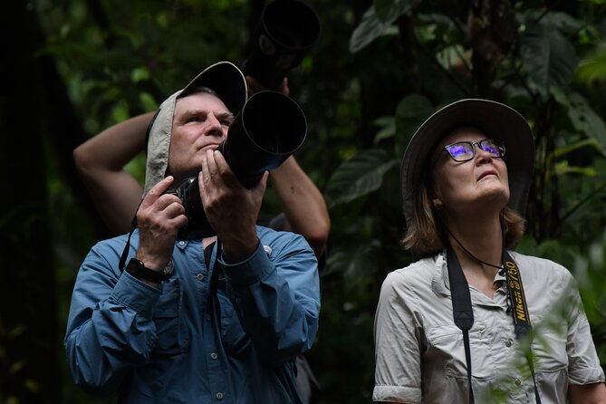 5-hour-birdwatching-and-photography-tour-in-monteverde