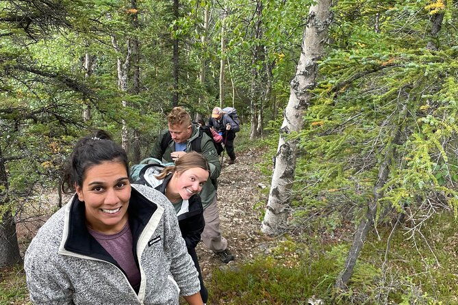 5-hour-mountain-hiking-tour-in-the-alaska-range-denali-area