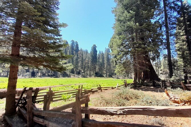 5-star-rated-winter-private-tour-in-sequoia