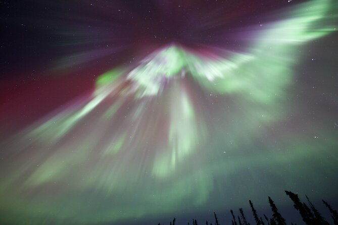 1-day-shared-tour-arctic-circle-and-aurora-viewing-in-alaska-2