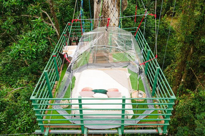 1-day-tree-climbing-and-rappelling-experience-with-accommodation