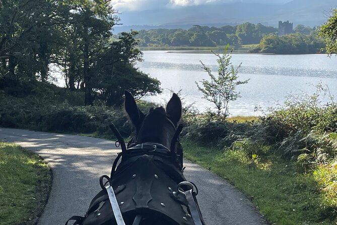 1-hour-guided-carriage-tour-in-killarney-national-park