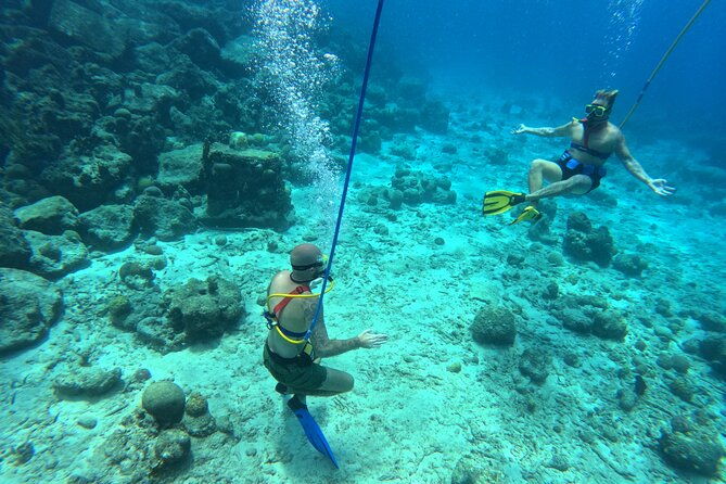 1-hour-guided-snuba-east-coast-diving-in-curacao