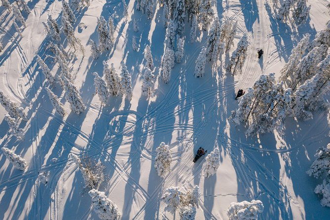 1-hour-snowmobile-safari-experience