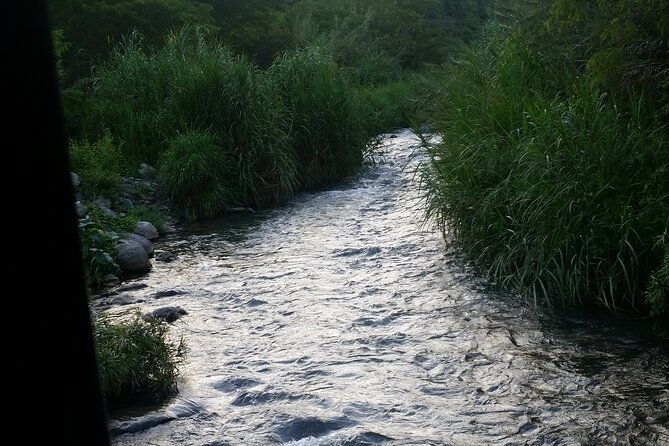 13-appleton-rum-estate-black-river-safari-private-guided-combo-all-day-tour