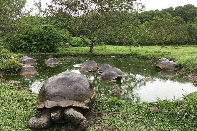 16-day-ecuador-adventure-andes-amazon-galapagos
