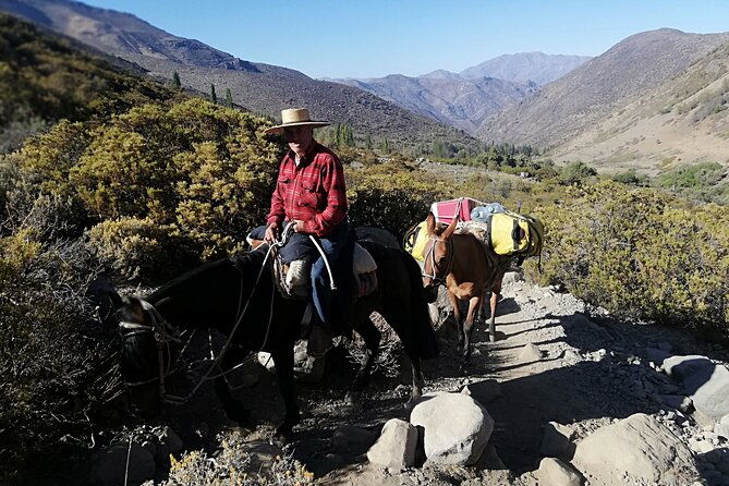 2-day-private-hiking-tour-to-la-paloma-glacier