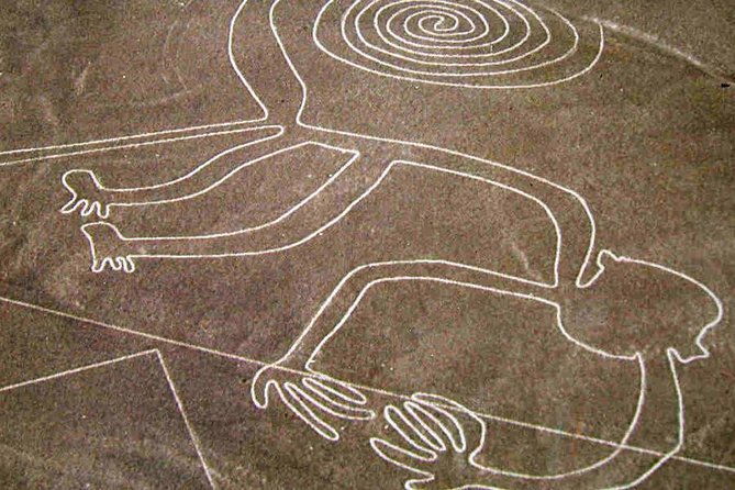 2-days-experience-in-paracas-huacachina-nazca-lines-from-lima
