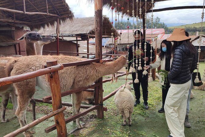 2-days-sacred-valley-private-tour-and-sunrise-in-machu-picchu