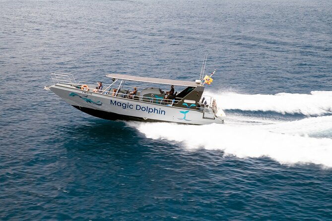 2-hour-dolphin-watching-experience-in-fuerteventura