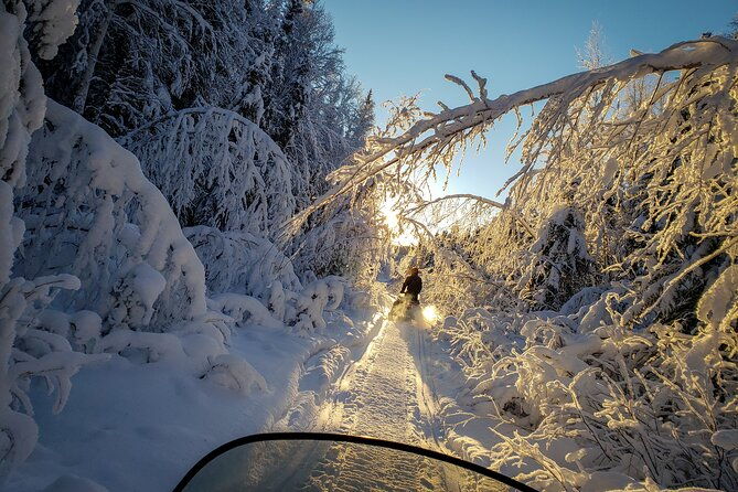 2-hour-guided-snowmobile-tour-in-fairbanks