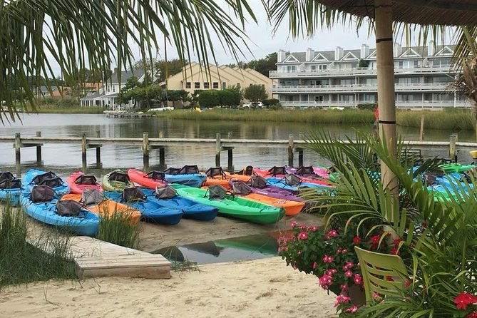 2-hour-paddleboard-rental-in-rehoboth-bay
