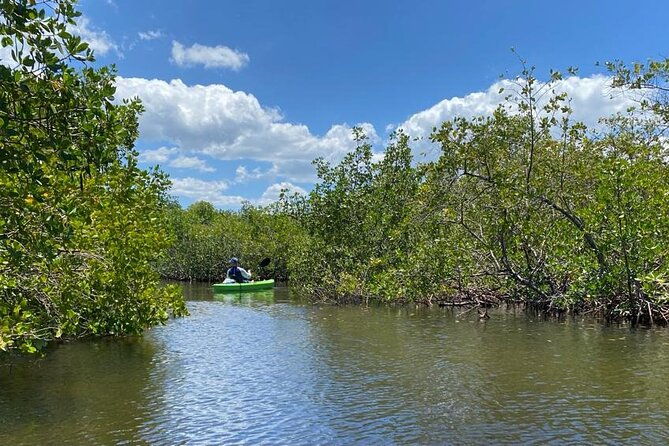 2-hour-tandem-kayak-tour-price-for-2-people