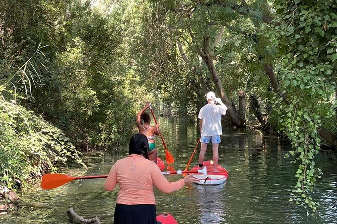 2-hours-and-a-half-sup-tour-in-the-ciane-reserve-in-syracuse