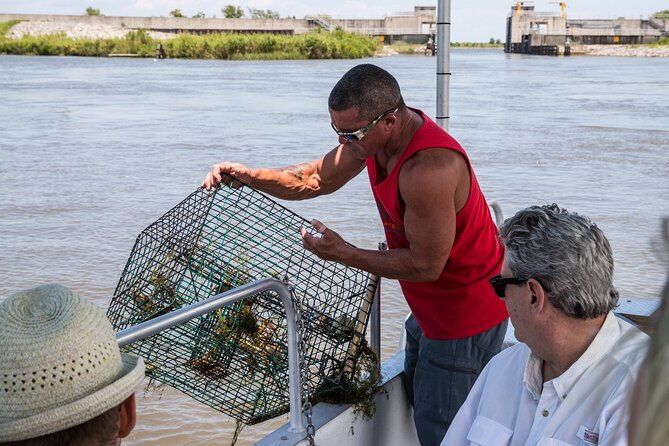 2-hours-boat-tour-in-louisiana-bayous-near-new-orleans