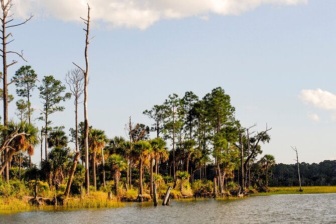2-hours-dolphin-eco-tour