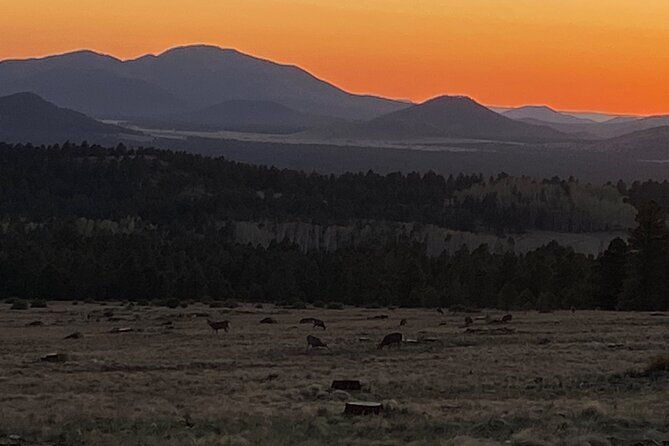 2-hours-private-e-bike-tours-in-northern-arizona