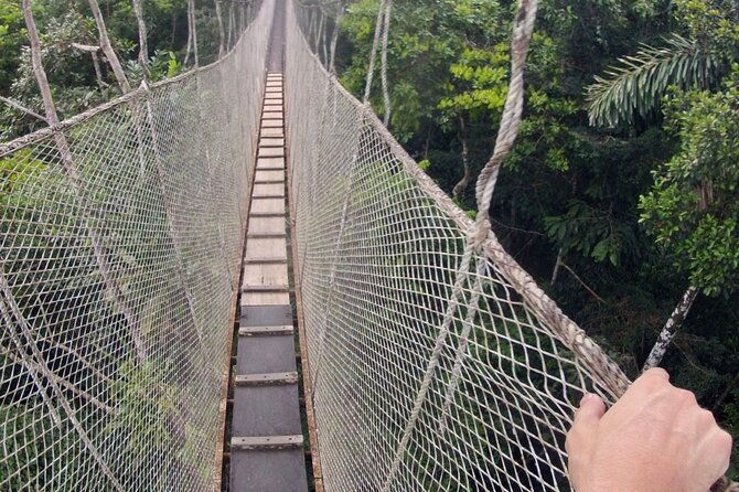 3-day-all-inclusive-guided-jungle-tour-from-iquitos-at-maniti-eco-lodge