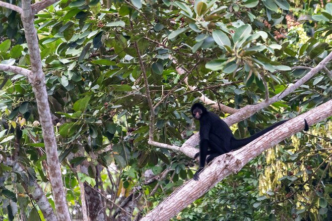 3-day-eco-sustainable-private-tour-manu-national-park
