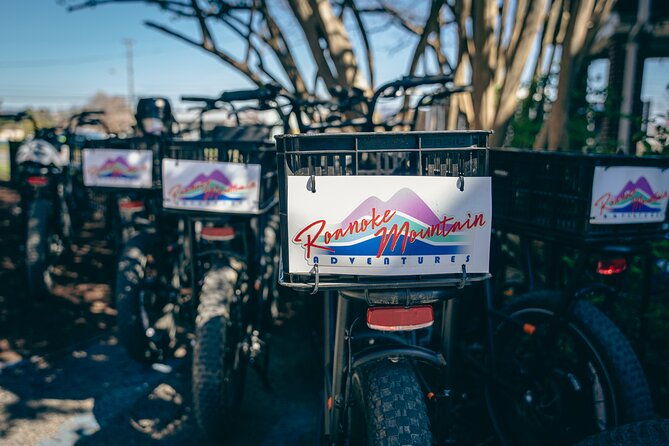 3-hour-e-bike-sightseeing-and-breweries-tour-in-roanoke