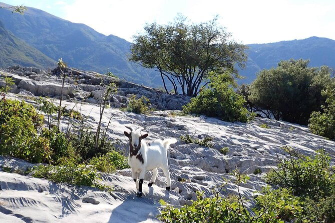 3-hour-easy-via-ferrata-to-sentiero-colodri-for-whole-family